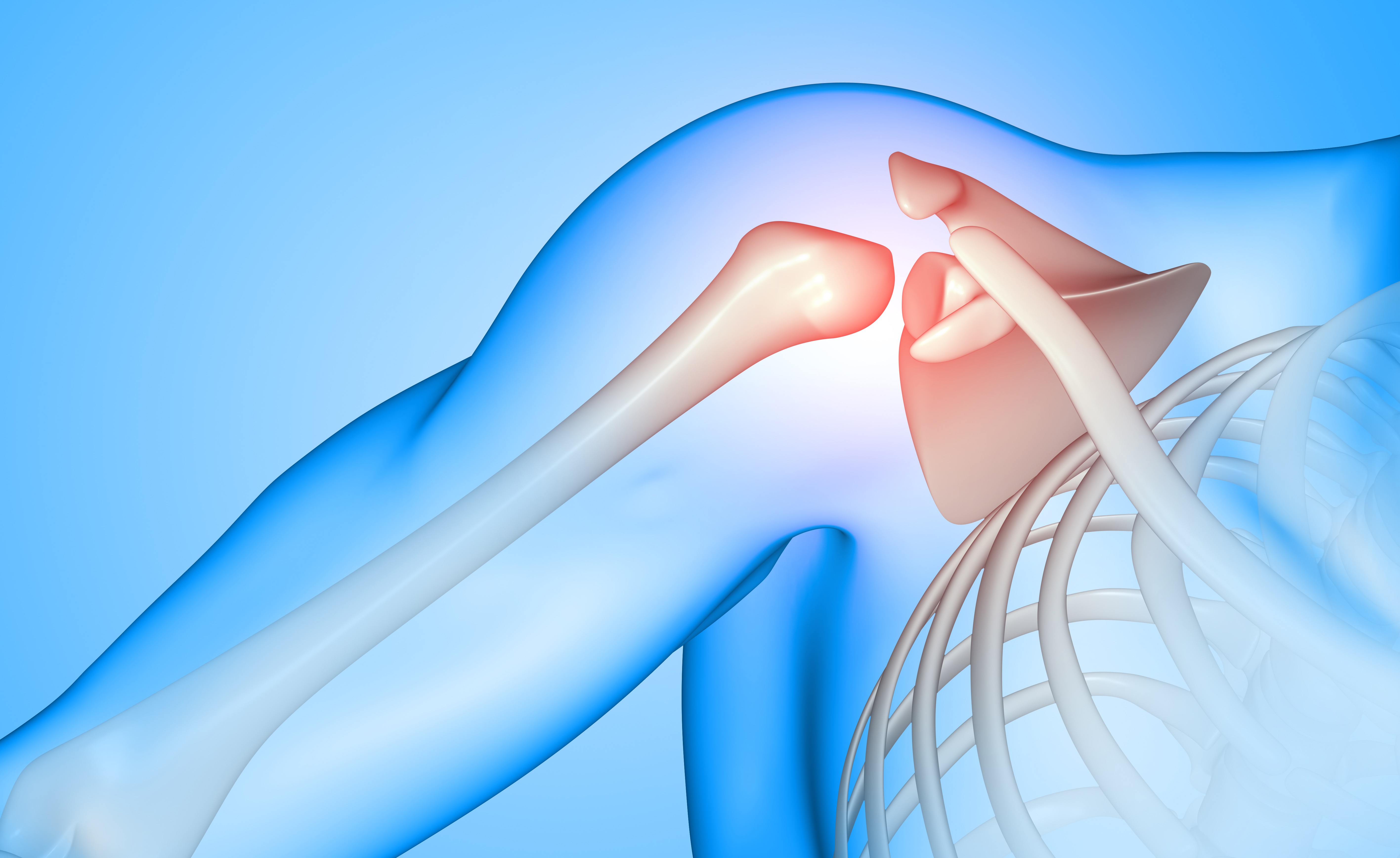 image Orthopedic Department